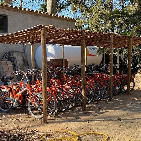 Can Codol De Fluvia - Casita Torroella de Fluviá المظهر الخارجي الصورة