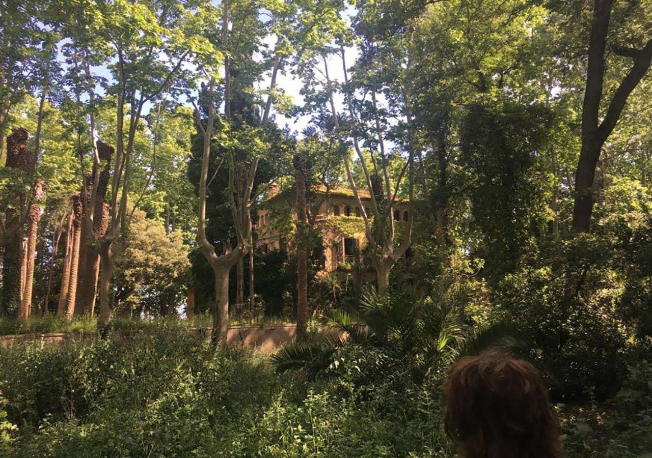 Can Codol De Fluvia - Casita Torroella de Fluviá المظهر الخارجي الصورة